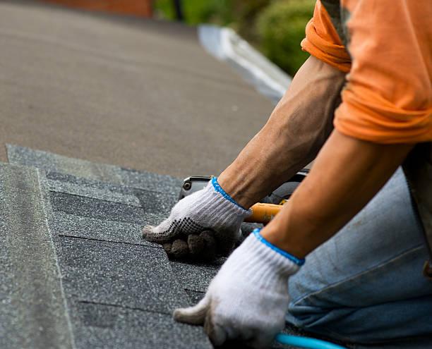 Best Roof Maintenance Services  in Wolfforth, TX