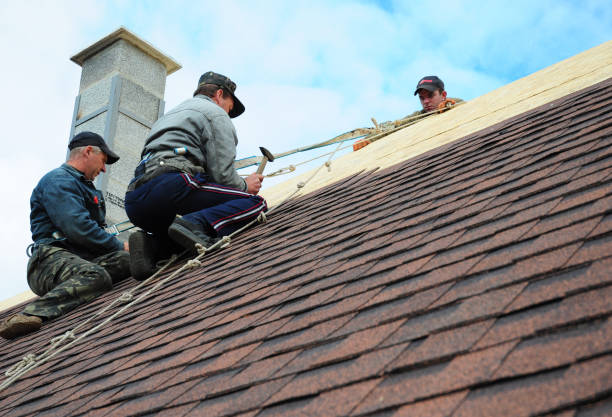 Best Roof Gutter Cleaning  in Wolfforth, TX
